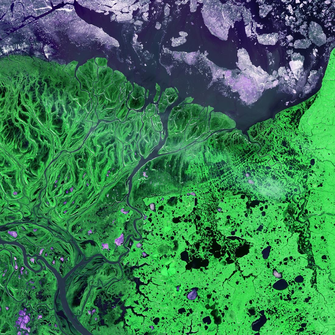 Satellite image of a river delta and wetlands