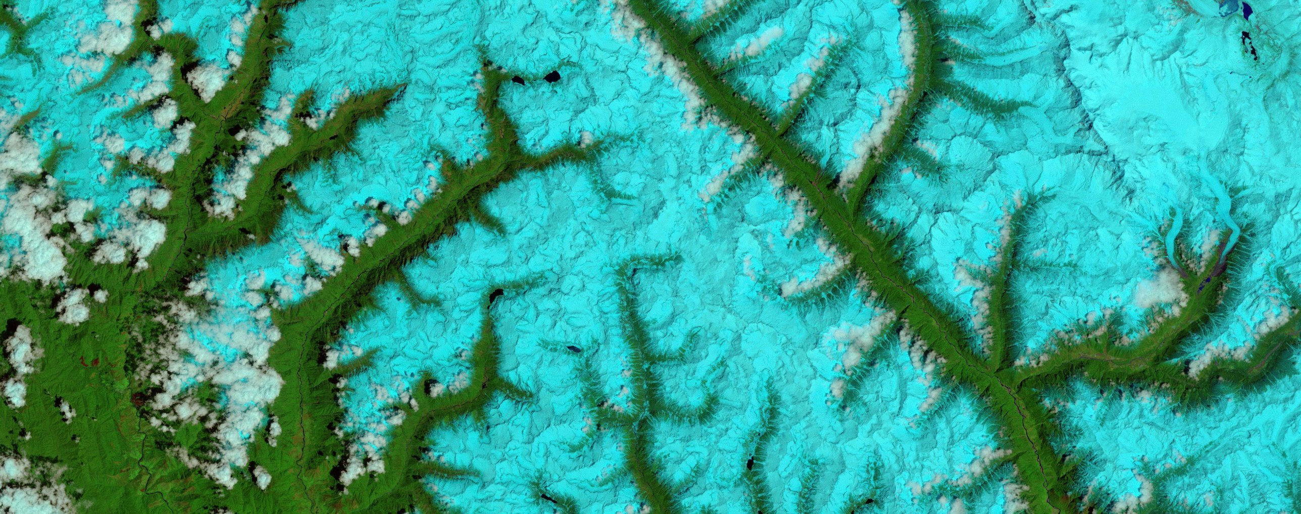 Satellite image of glacier valleys in false colour
